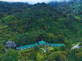 Hotel Finca Lerida Coffee Plantation and Boutique Hotel