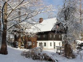 Dachstein Chalet Goisern、バート・ゴイーザーンのホテル