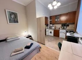 Budapest Central Cozy Studio w Working Space and WiFi