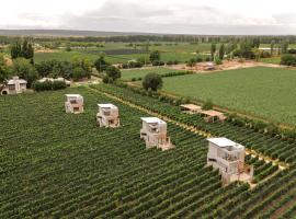 Agrelo Vines Lodge, cabin in Agrelo