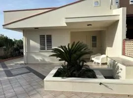 Casa Cycas