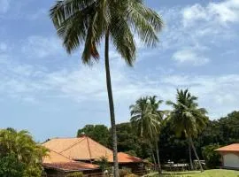 Studio Oiseau du Paradis