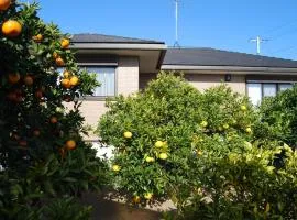 Minpaku Orange Garden - Vacation STAY 18601