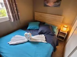 Chalet familial entre lac et fôret