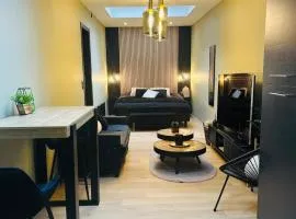 Élégant appartement avec bain balnéothérapie