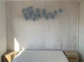 Tiny cabaña en playa hermosa Pichilemu