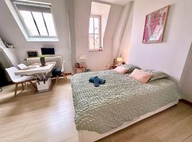 Le petit POTE' studio Dijon hyper centre, hotel con estacionamiento en Dijon