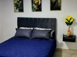 Vélez Loft II
