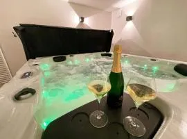 Gîte avec SPA et sauna dans le Val de Loire - FR-1-381-607