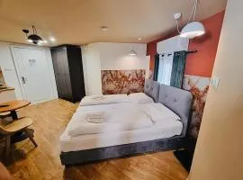 Modern Studio N9 Kitchenette Bathroom