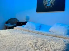 UltraCentral Cozy Apartment