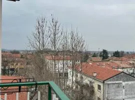 Friuli