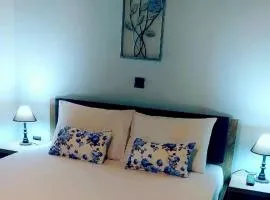 Olivo Apartment - Studio