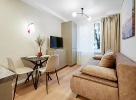 Stylish gray studio near the city center