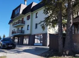 Apartman Pinja
