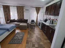 Garsonieră La Felix