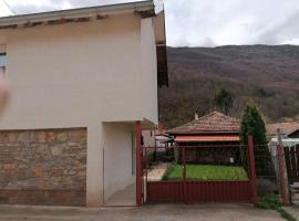 vila Mila, ξενοδοχείο σε Pakleštica