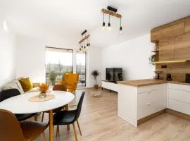 New BNB Apartment In the Ostrava with parking option