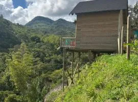 Cabañas Colibrí