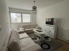 Chromatic Apartment