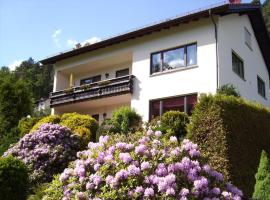 Ferienwohnung Haus Patry, Hotel in Leonhardshof