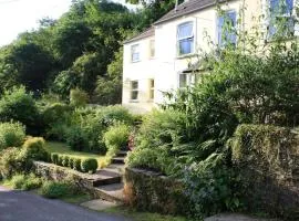 Cosy Cottage overlooking the Teifi Gorge