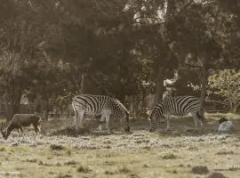 Wild Paradise Farmstay
