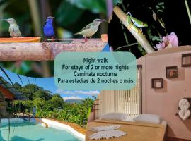 Cabañas del Rio, hotel v destinaci Fortuna