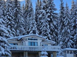 Chalet pid Kryntoyu, hotel a Krasnik