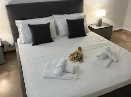 Salentum Home