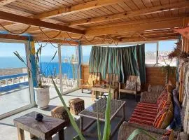 Dar Walid cap sim