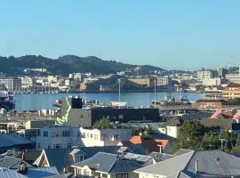 Close to City, Ferry with great views and free park
