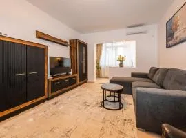 Ray- central apartment near Palas Mall