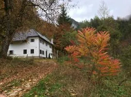 Forsthaus Gut Traunfried