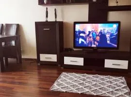 Cozy & economic studio