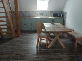 APARTMAJI VITEZ Apartma 4