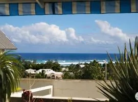 Jardin Tropical 3 - 45 m2 - La Saline Les Bains