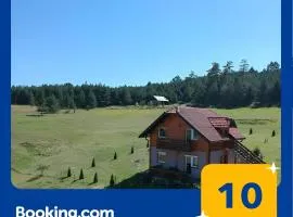 Apartment Studenac