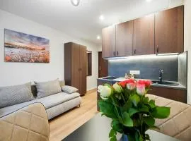 Stylish studios near the city center