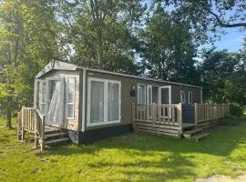 Ferienhaus im Naturschutzgebiet im Norden Hollands