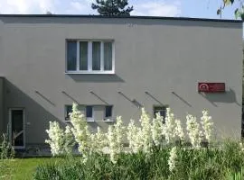 DIVADELNÍ PENZION
