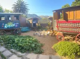 Gypsy Wagons, Arum Ave, Kommetjie