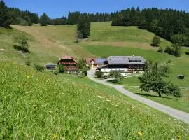 Ferienwohnung Auszeit -Gipfhof-