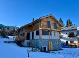 Chalet Neuf 12 pers Ski au pied, Cinéma