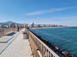 Gandia Grau 5