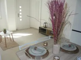 Appartement T2 cosy à colomiers