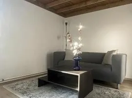 Cotton&Loft - Brno City Center Apartment