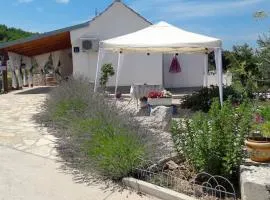 House Marie's Lavander Dream