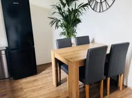 Central apartment