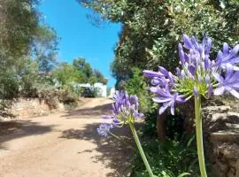 Villa panoramica tra natura e relax a due passi mare